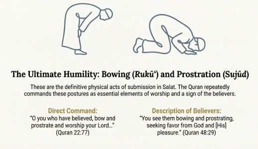 Bowing and prostrating